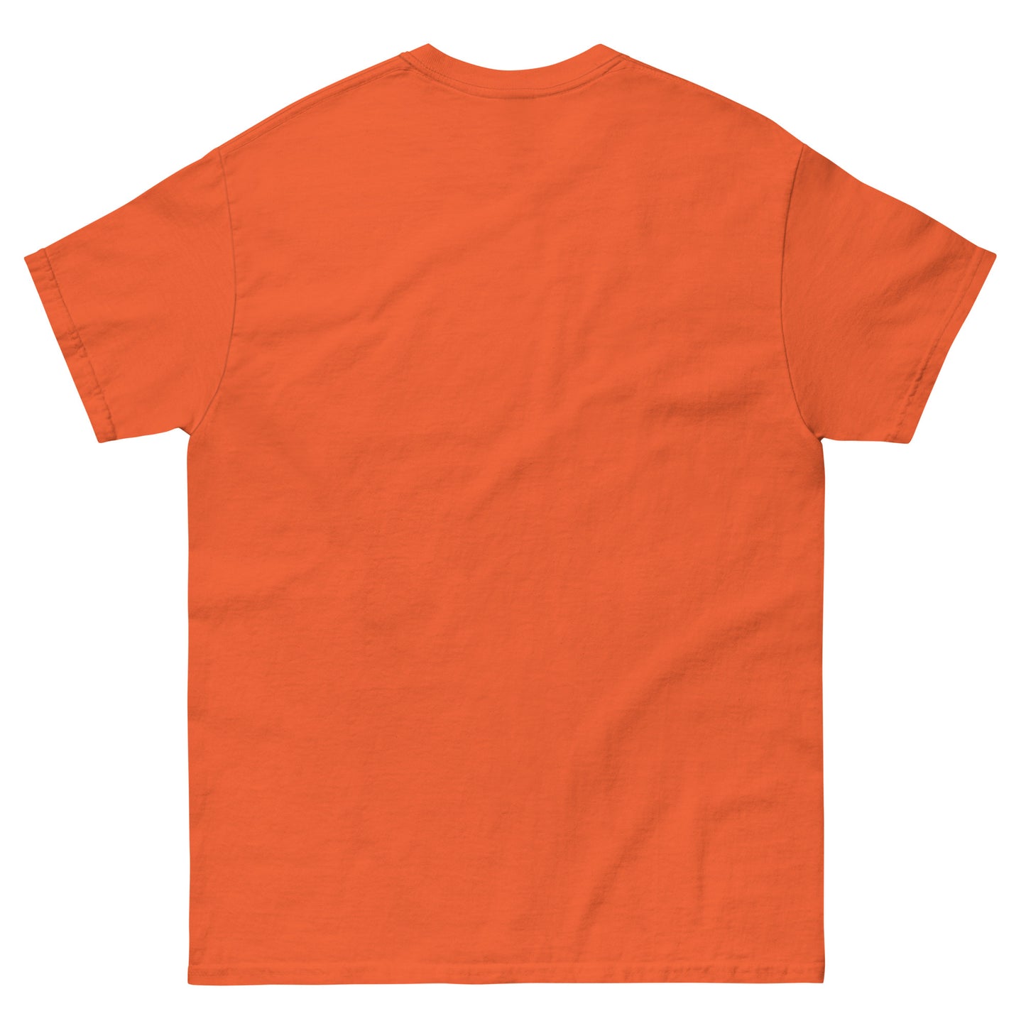 Illumination for Idiots Unisex classic tee